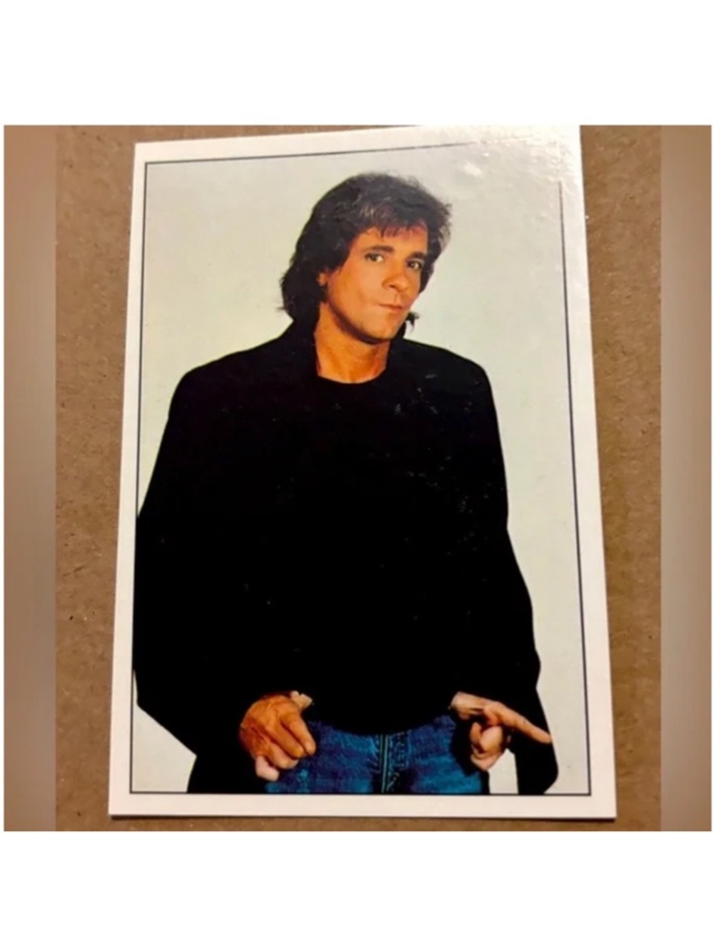 Eddie Money 1990 Panini Fan Club Vintage Music Sticker Cards